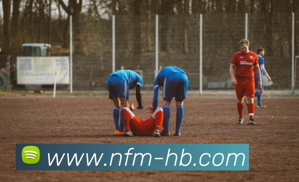 多媒体互动体验